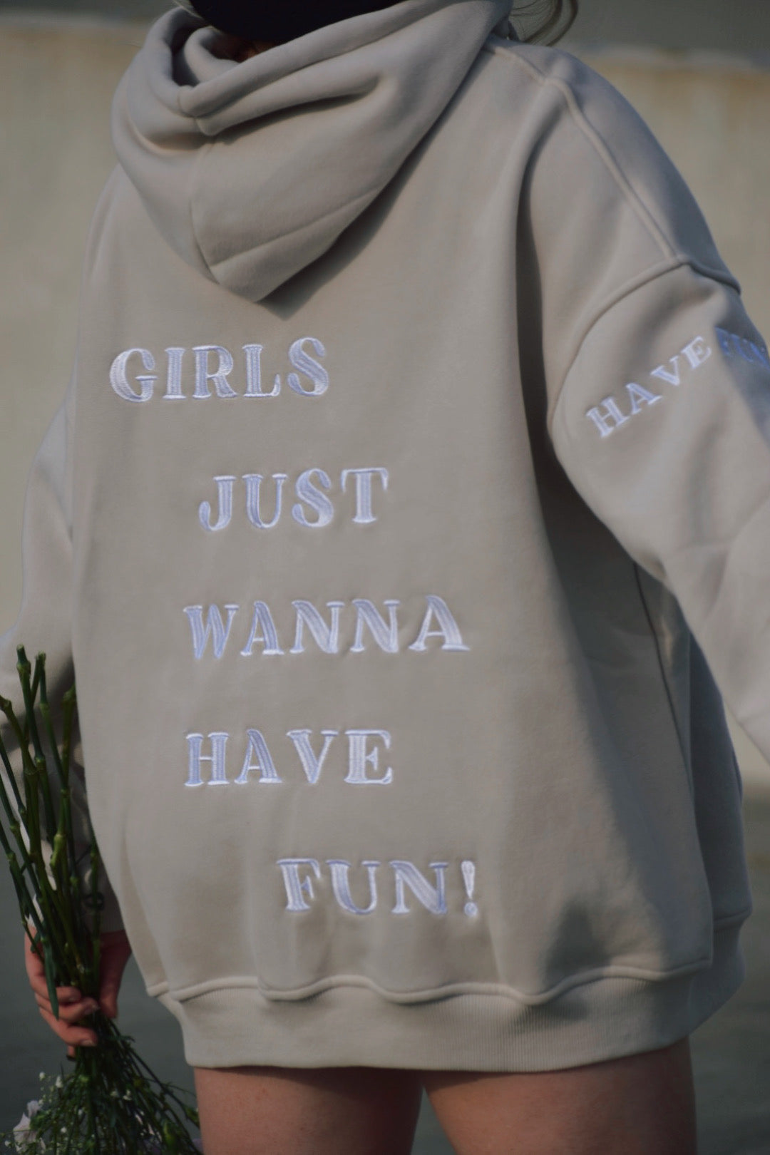 Wanna Have Fun Hoodie