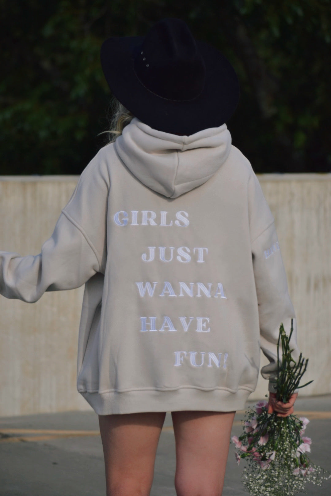 Wanna Have Fun Hoodie