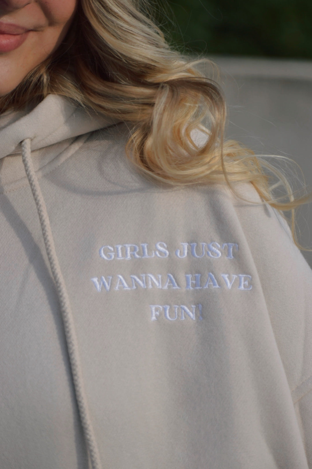 Wanna Have Fun Hoodie